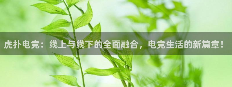 uwin电竞集团：虎扑电竞：线上与线下的全面融合，电竞生活的新篇章！
