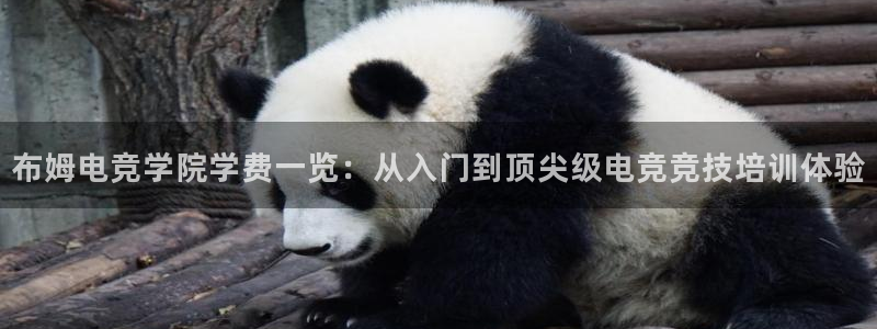 uwin电竞集团：布姆电竞学院学费一览：从入门到顶尖级电竞竞技培训体验
