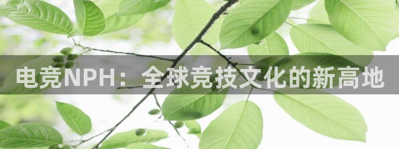 uwin电竞集团：电竞NPH：全球竞技文化的新高地