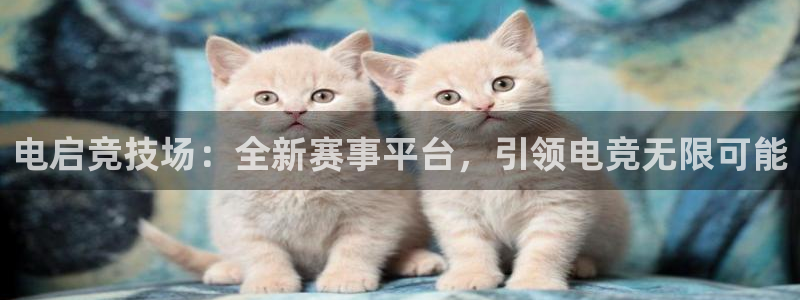 Uwin电竞注册：电启竞技场：全新赛事平台，引领电竞无限可能