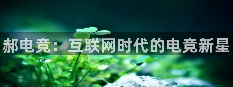 uwin电竞集团：郝电竞：互联网时代的电竞新星