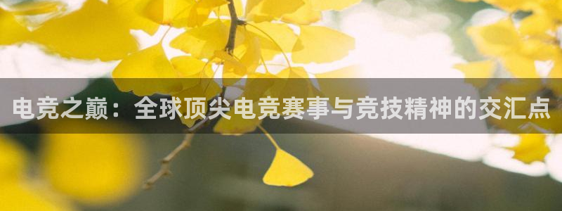 Uwin电竞注册：电竞之巅：全球顶尖电竞赛事与竞技精神的交汇点