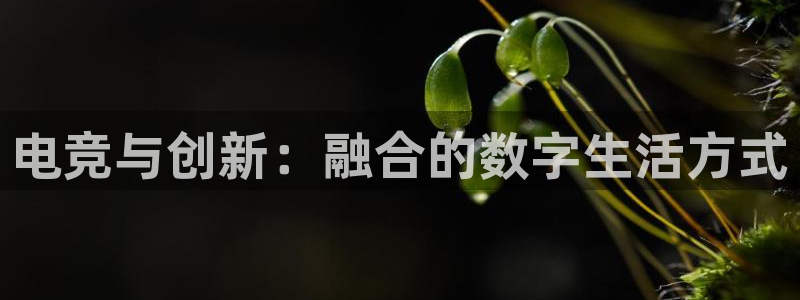 Uwin电竞在线：电竞与创新：融合的数字生活方式
